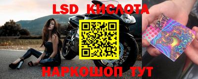 спайс Краснознаменск