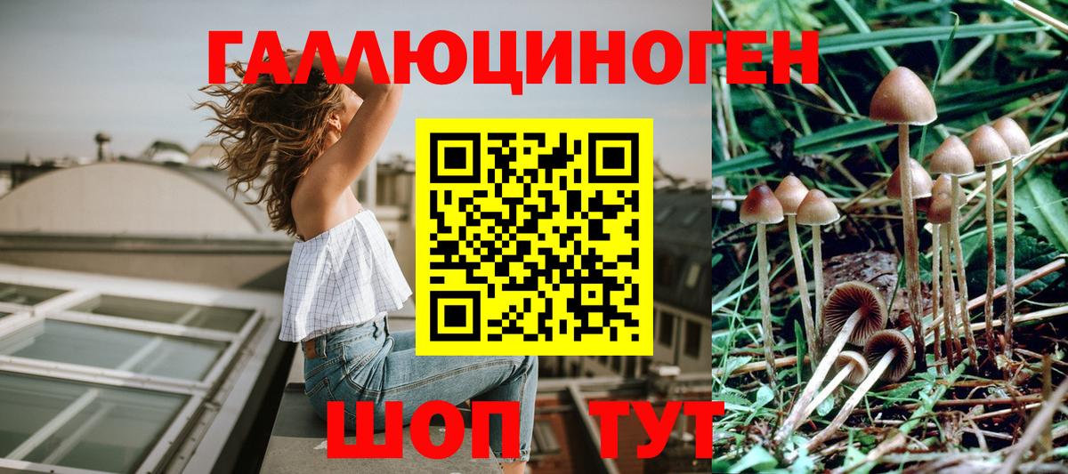Ирбит  Галлюциногенные грибы мицелий  Вход с VPN  сколько стоит  Галлюциногенные грибы мицелий 